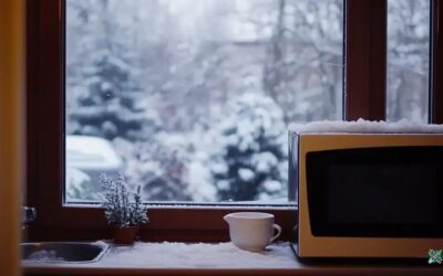 Como limpar e manter o micro-ondas em boas condições